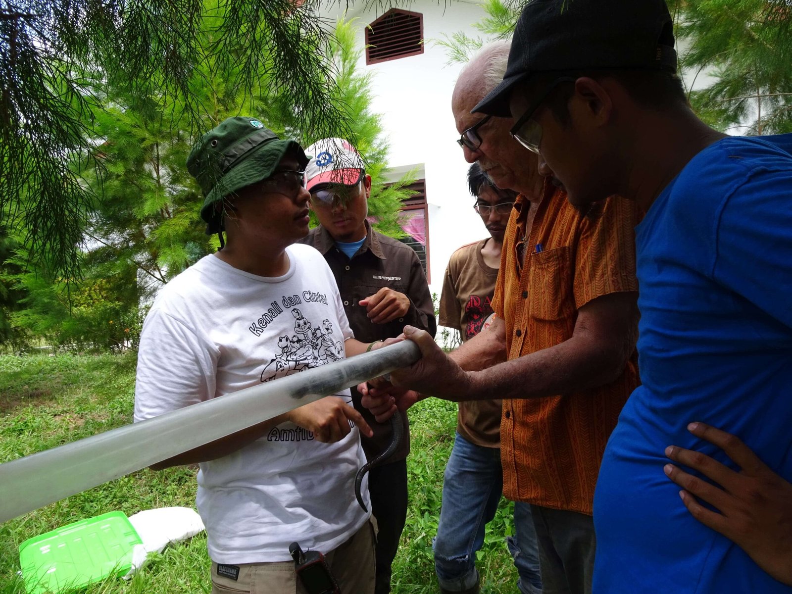 Restpration Indonesian Reptil